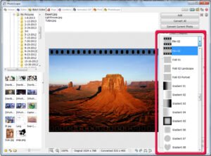 Google Picasa Alternatives